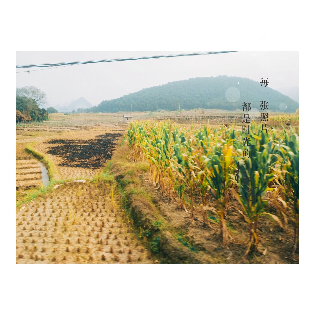 1588149428498168.jpg 20191125182506125.jpg