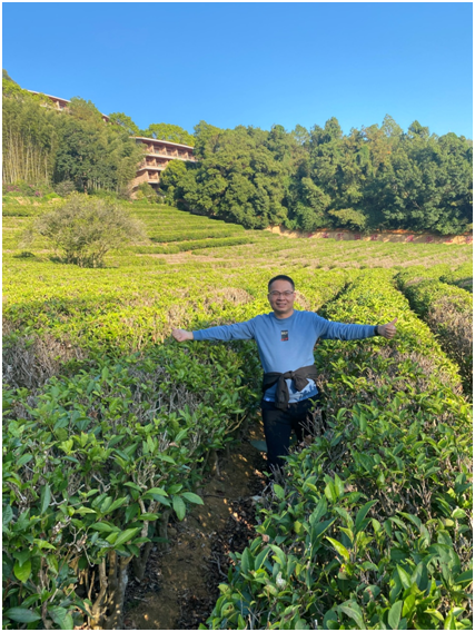 1638343332512482.png image.png