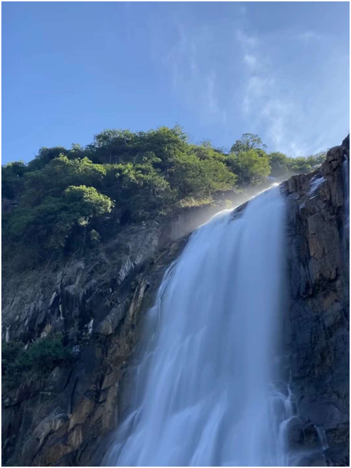 1638342907332582.png image.png